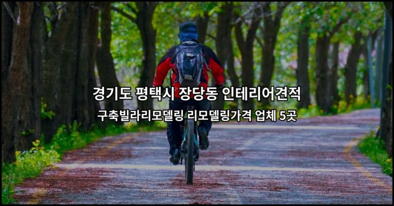 경기도 평택시 장당동 인테리어견적 구축빌라리모델링 리모델링가격 업체 5곳